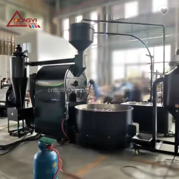 2018 Dongyi Factory price 30 kg 60kg coffee bean roasting machine LNG Gas heating equipment for sales