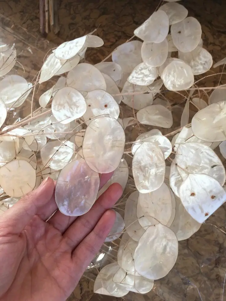 Yunnna Cheap Real Wedding Dried Flower Bouquet Dried  globe amaranth Flower Gomphrena Globosa