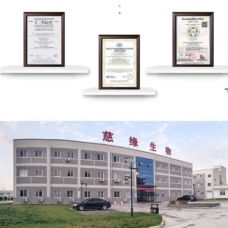 ISO Factory Supply Dried Fig Powder  Ficus Carica Fruit Extract in Bulk Price