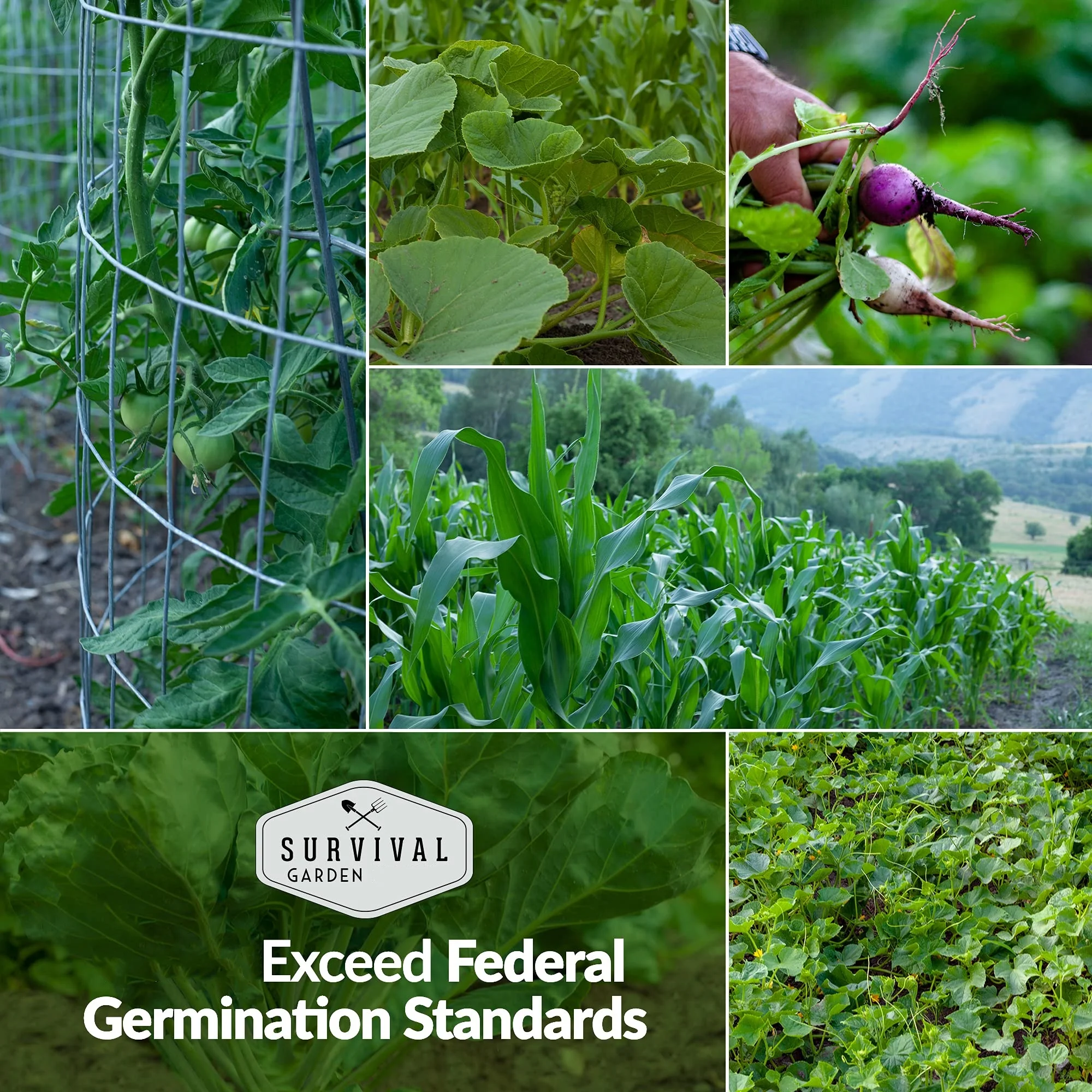 30 Pack with 18,500+ Non-GMO Heirloom Vegetable, Fruits, Herb Seed Varieties for Planting