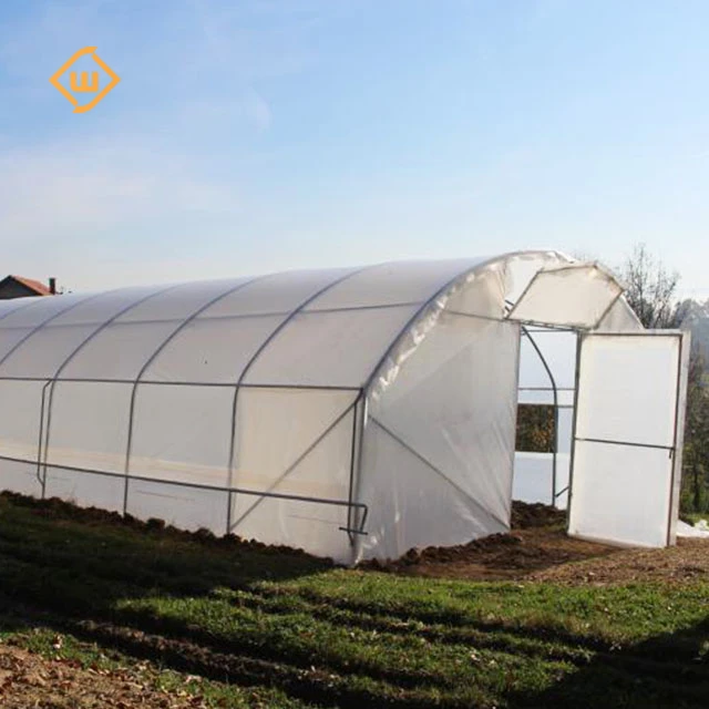 modern steel pipe tunnel tomato hook single span greenhouse structure polycarbonate commercial large green house