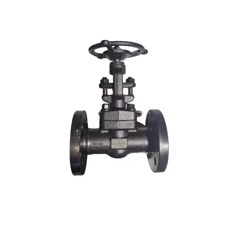 WCB DN60 Flange Gate Valve Carbon Steel Stainless Steel Low Temperature Flange Gate Valve GB Preservation Jacket Gate Valve