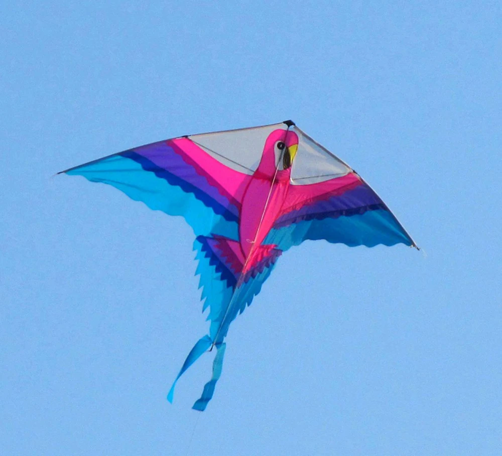 Parrot kite flying bird toys