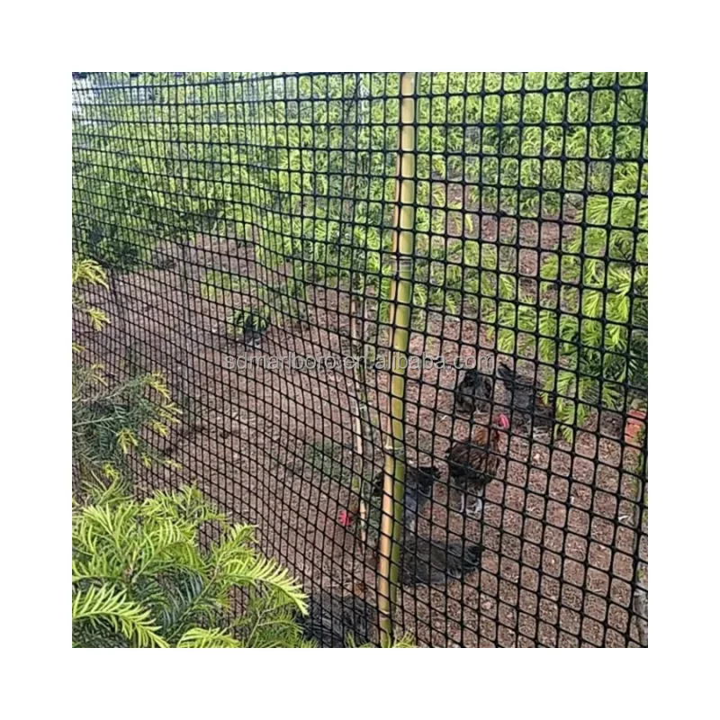 PP Biaxial Plastic Geogrid for Soil Reinforcement Polypropylene Geogrid Ground Grid As Chicken Fence