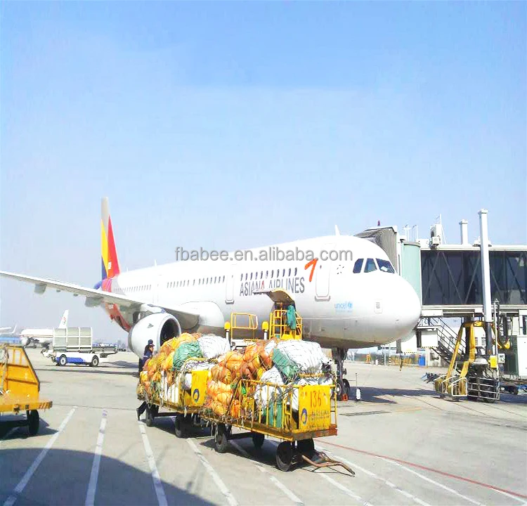 Professional DDP Service To USA/Europe FBA Amazon Warehouse Air Freight From Shenzhen