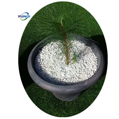 Snow White River Beach Rock Gravel Sand Landscaping Pebble Stone tumbled stone for garden landscaping