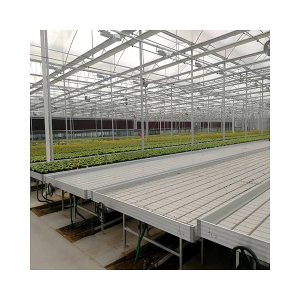 Factory Supply Greenhouse Rolling Benches Flood Tray Hydroponic Ebb and Flow Table For Green House Vegetable