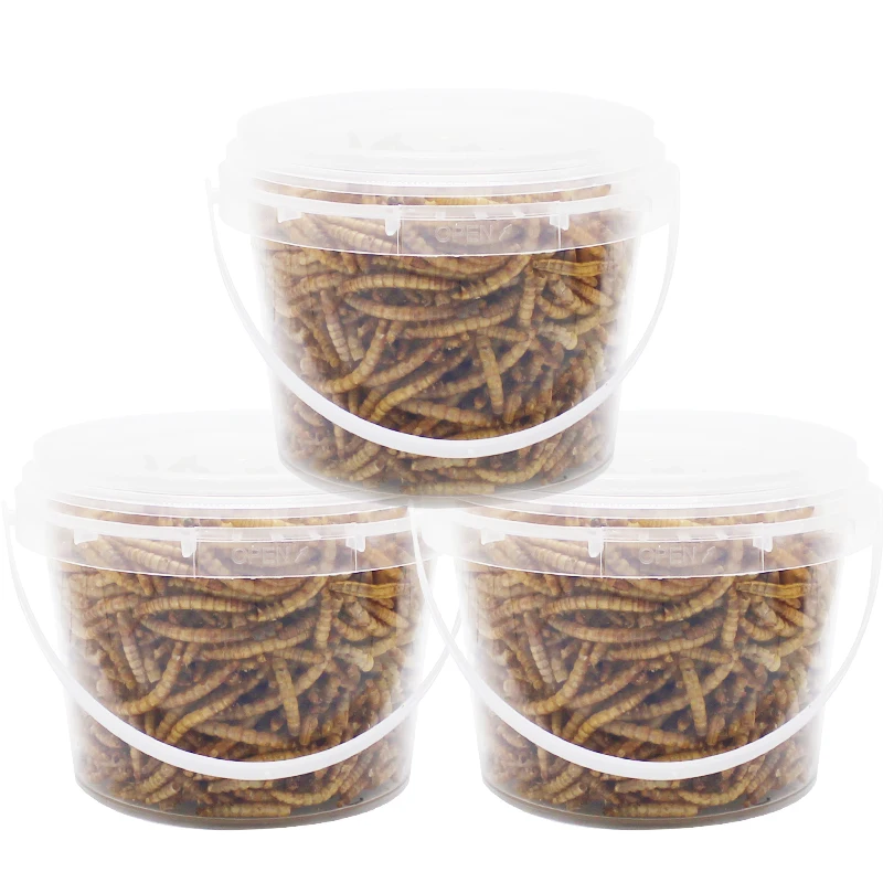 high protein animal feed freeze dry meal worms bird hand feeding formula  mealworms food bulk