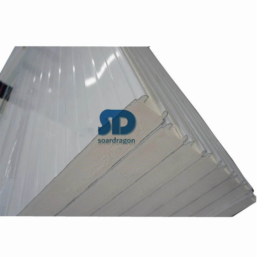 Soardragon Commercial Cold Camera, camera Frigorifica, walk in Freezers industrial freezer Room cool rooms and freezer room