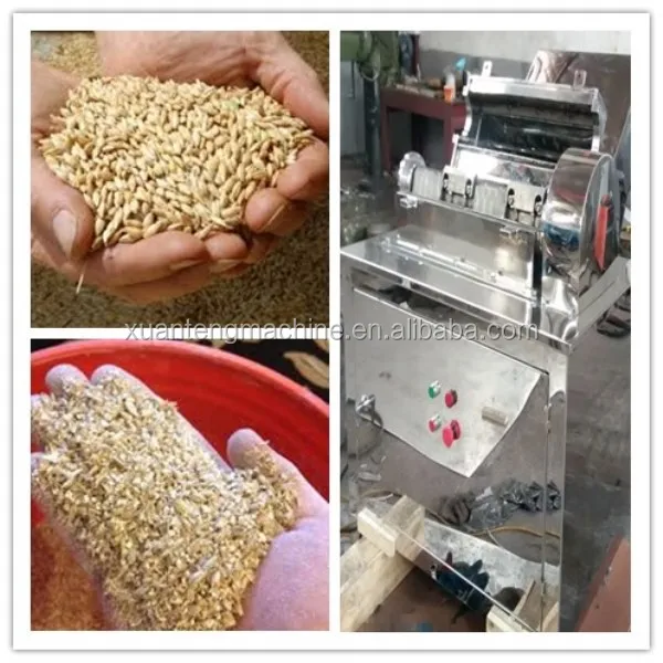 Vertical salt/sugar coarse crusher/pulverizer with dust removal collector