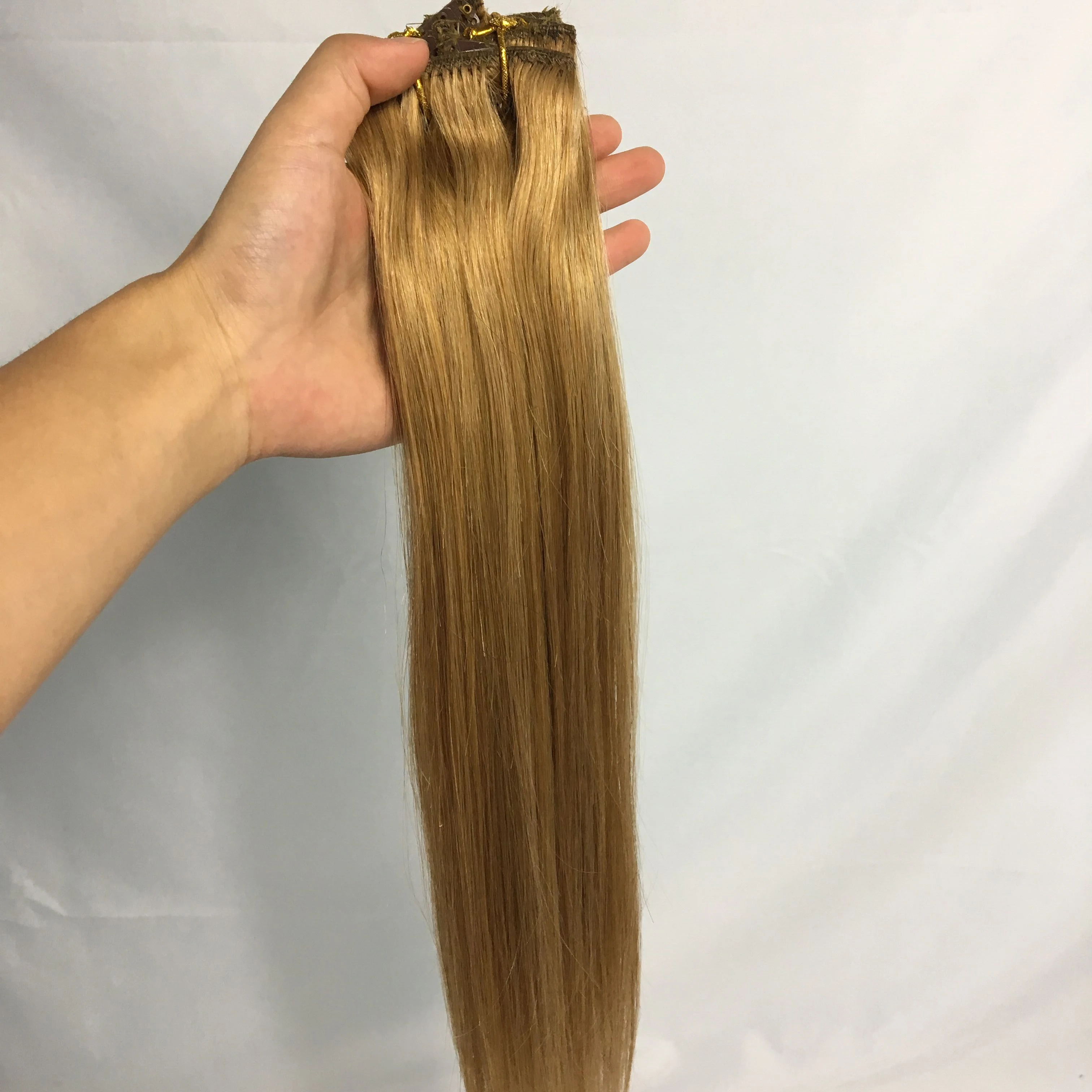 CLIP INS HAIR EXTENSION.jpg