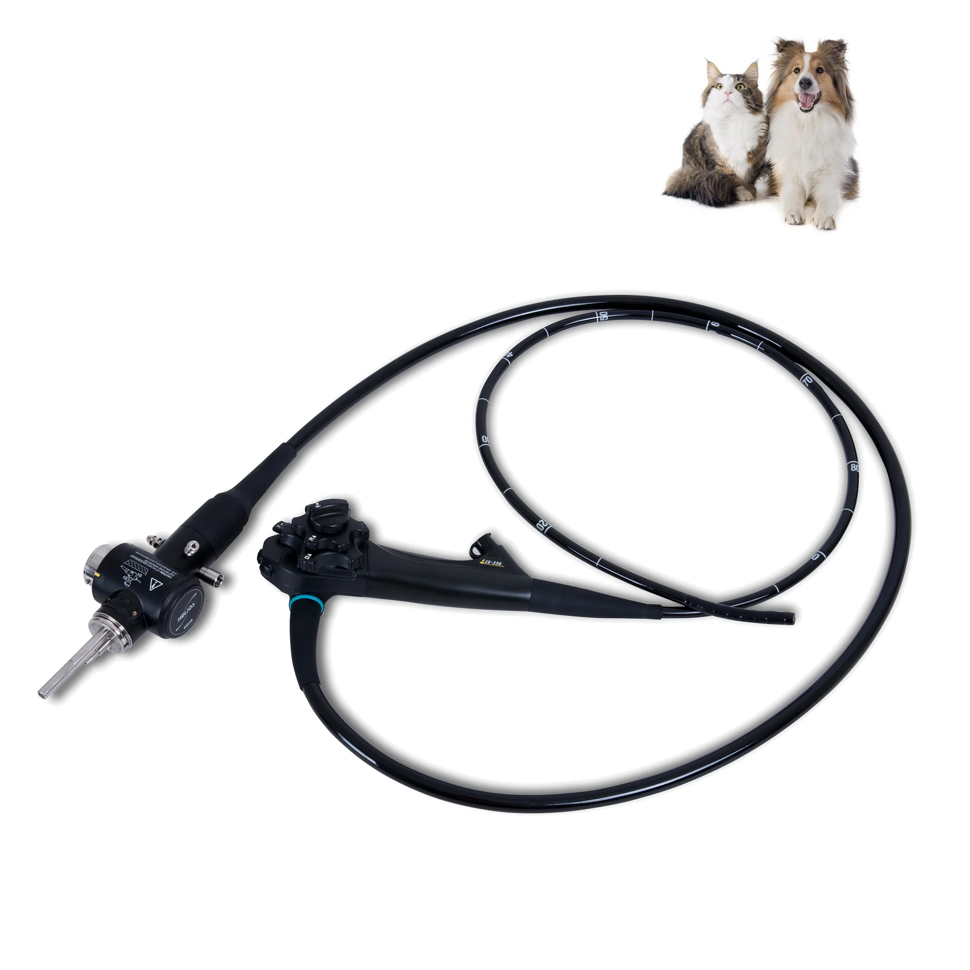 Veterinary  Video Fible Endoscopes System,All in one Portable Video colonoscopy in dogs and cats Qquine