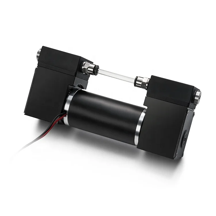 Fuidsmart -95KPa 12v 24v micro air vacuum pump mini air pump dc small diaphragm vacuum pump for petrochemical gas detection