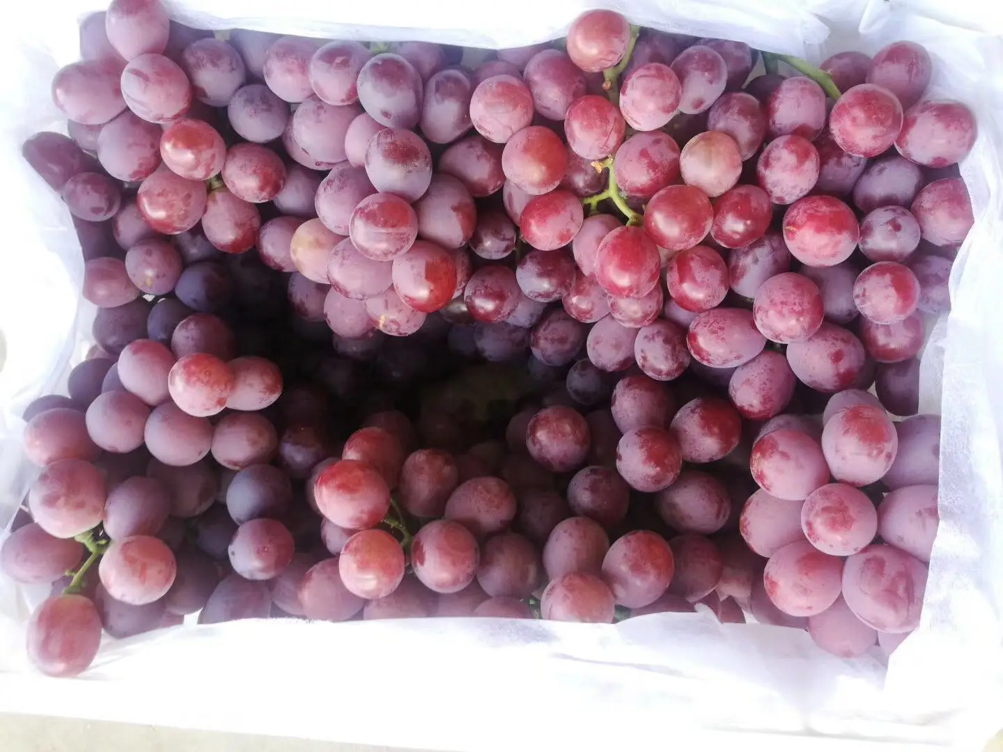fresh fruits crimson fresh grapes sweet seedless grape for sale red grapes