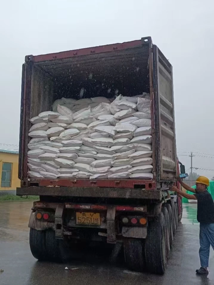 Natural Zeolite Stone Particles Cultured Plants Soil Water Treatment in Planting Organic and Eco-Friendly