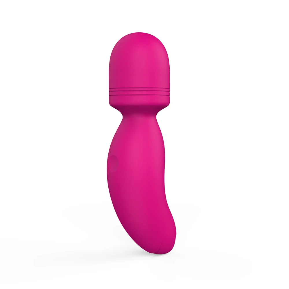 Ylove Mini Wand Massager G-Spot Vibrator Adult Products Female Bullet Vibrator for Women and Girls