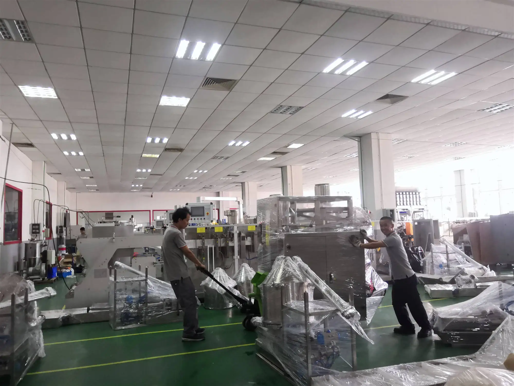 BHS-180 high Quality Automatic Flat Pouch Coconut Pepper Powder Packing Machine