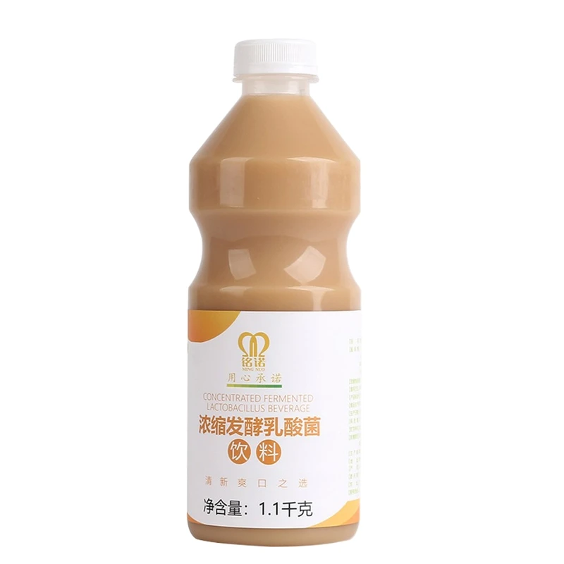 1.1KG halal Fruit Tea Partner Probiotics for taiwan bubble milk tea ingredients Original lactic acid bacteria