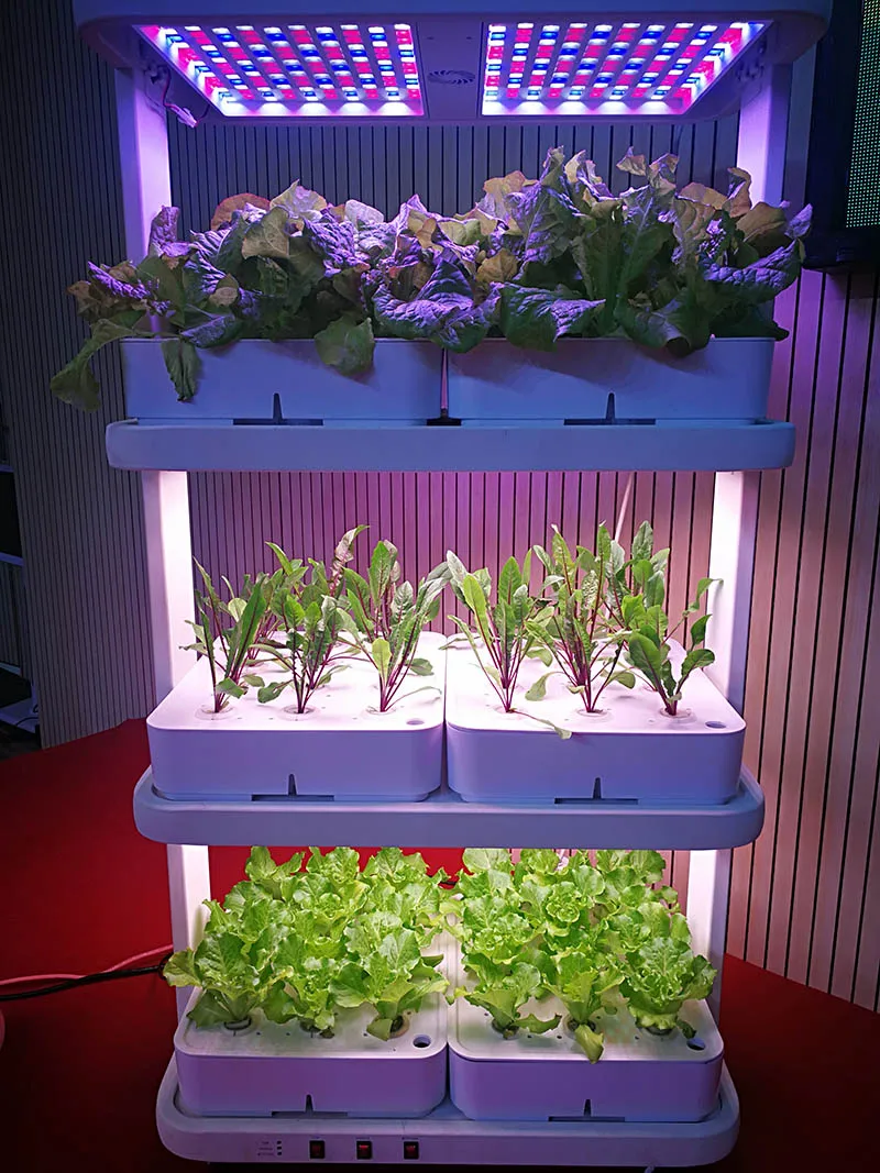 Full Spectrum Indoor Hydroponic Grow Light 3 Layer indoor vegetable growing rack machine for leafy vegetables pepper lettuce