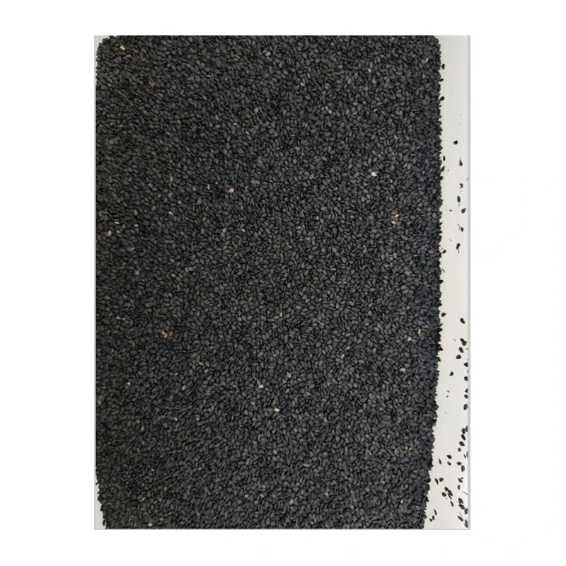 Trustworthy Supplier and best discounts Sesame Seeds organic black sesame seeds Conventional and organic products