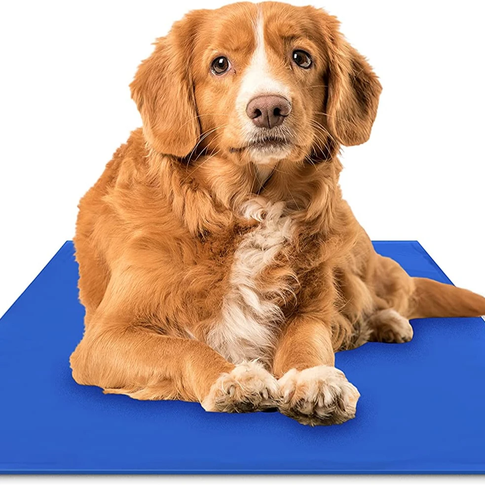 Wholesale Summer  Dog Cool pad Sleeping Mat Bite Resistant  Cat Cool Mat Pet Gel Ice mat