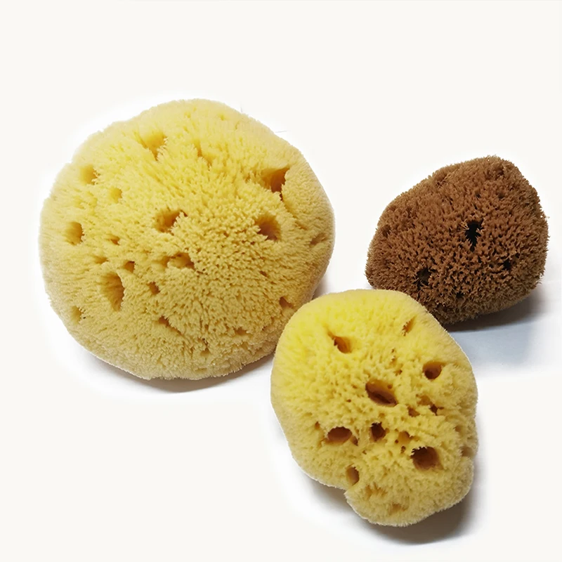 natural bath brushes sea wool sponge 6-7cm for bathing