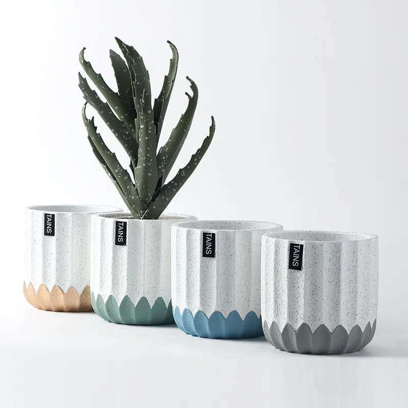 Cactus Plant Pot Ceramic Cactus Planter White Buy Ceramic Plant Pots Ceramic Plant Pots