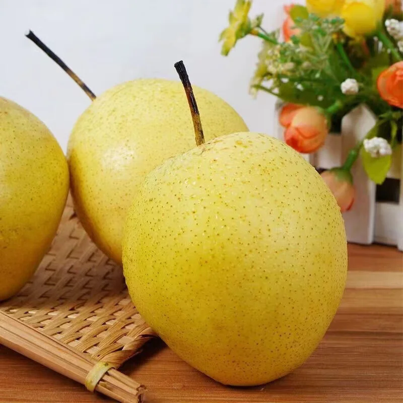 Китайская сочная груша
