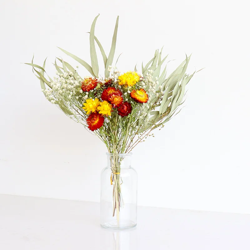 wholesale Decorative dried flowers Flower arranging Colorful Chrysanthemum Helichrysum preserved Strawflower