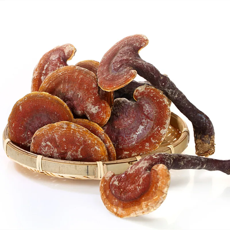
Chinese Extract Hot Selling Pure Natural Organic Duanwood Reishi Extract polysaccharides 