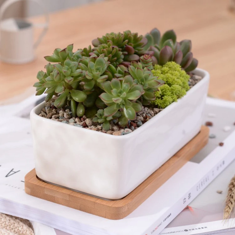 Modern Decorative Garden Flower Pot Ceramic Pots For Succulent Cactus Plants Pot With Drainage Wooden Tray