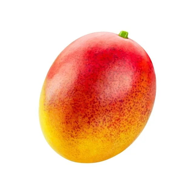 100% Fresh Badami Mango For Best Price