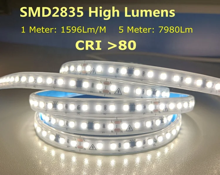 ac 220v led strip light smd2835 outdoor ip67 waterproof 10cm/cut 110v 230v led light strip with IC Design