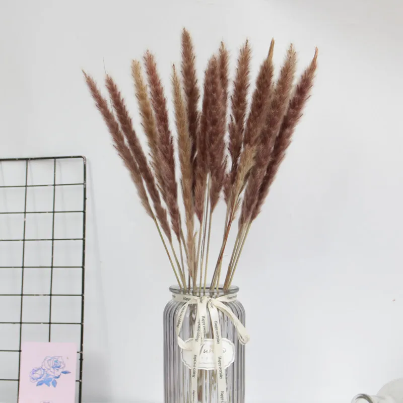 Natural Dried Flowers Small Natural Pampas Grass Wedding Wall Decoration Home Arrangement Office Baby Pampas