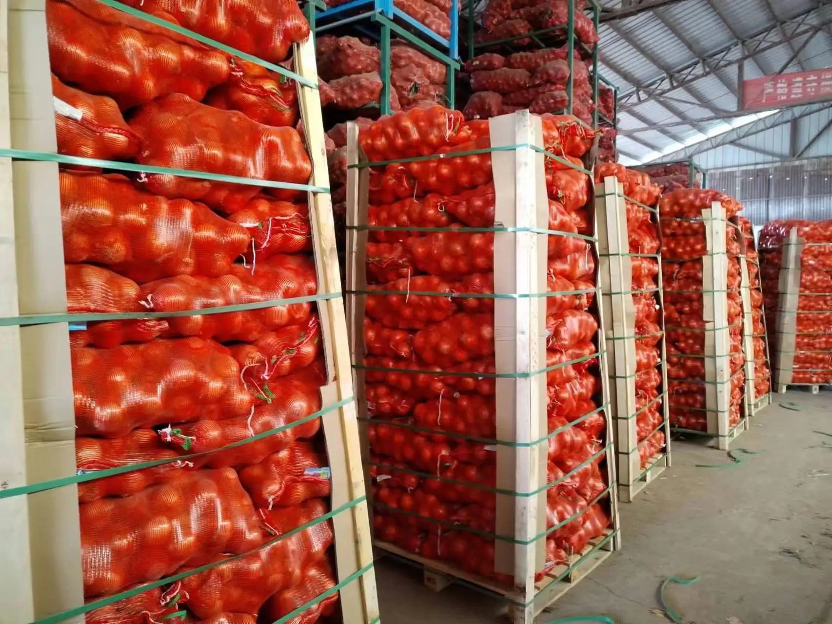 Premium Quality Red Onion New Crop Fresh yellow Onions Good Price Natural Healthy Red onions Wholesale