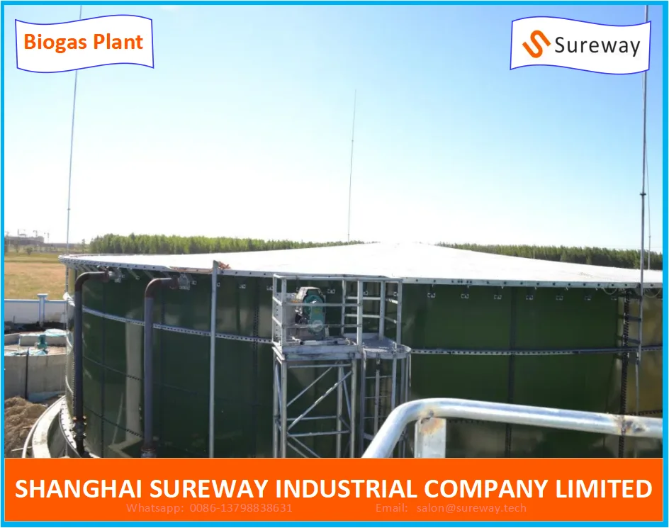 Energy Crops Grass Biogas Plant/Project