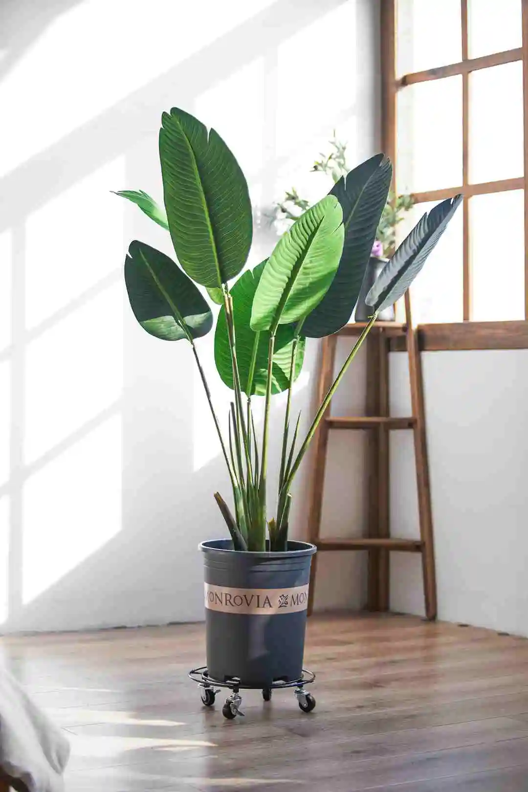 Made in China 152222-1T iron 25CM*7cm 910g 3pcs/set pot stand hot supplying