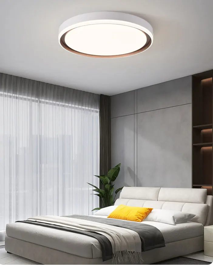 Factory Wholesale SAA CB flush mount decorative indoor European Nordic plafon design slim LED Ceiling lamp for home house