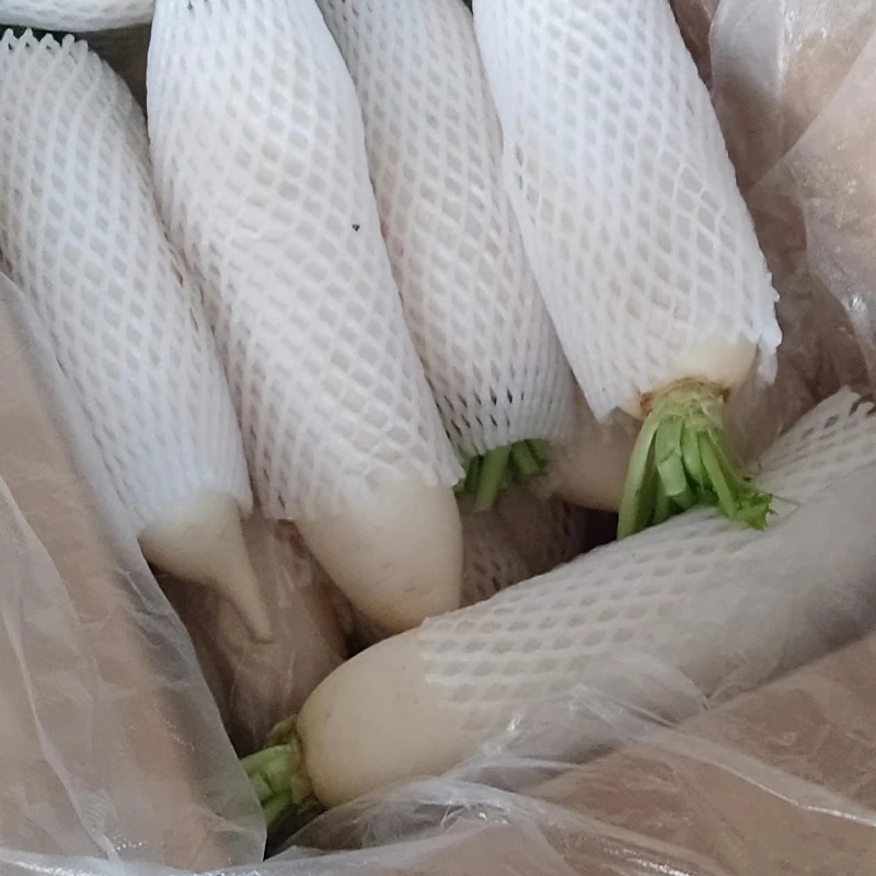 Chinese fresh white radish