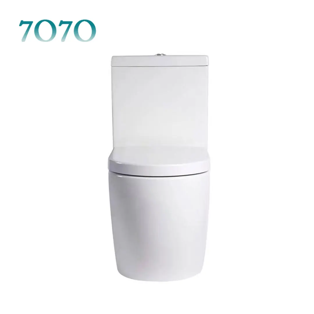 Ceramic Toilet Manufacturers Floor Mounted Wc Toilet Set Sanitary Ware Bathroom Two Piece Toilet