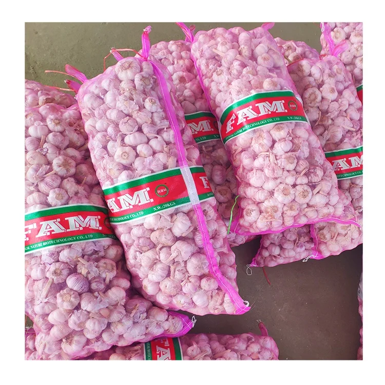 Bawang putih high quality fresh normal white garlic for Indonesia 20kg mesh bag garlic bawang putih