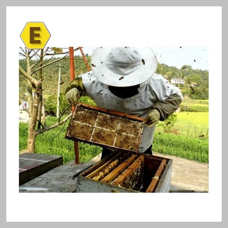 500g transparent plastic honey cassette comb honey box with wax foundation