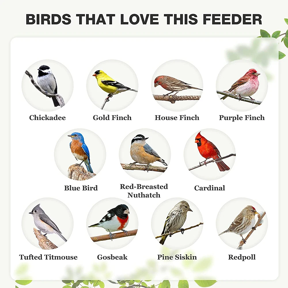 2 in 1 Bird Feeders for Outside, Hanging Metal Bird Feeder for Finch Cardinal