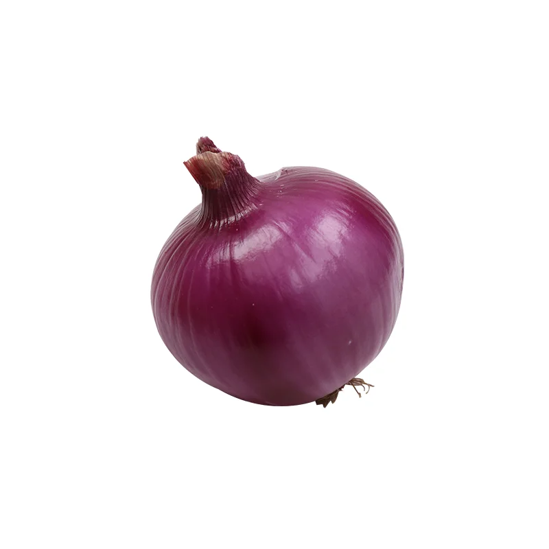 Natural Fresh Non Peeled Red Onion Export quality