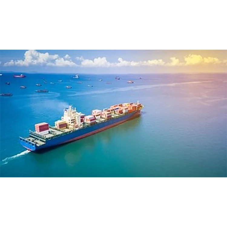 Ocean Freight Sea Freight Forwarder Sea Shipping Agent Shenzhen To Savannah