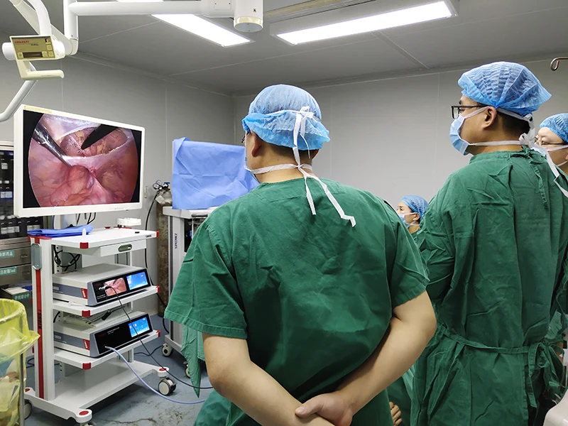 shrek factory endoscopic cameras medical cables equipment price