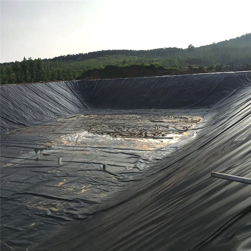 Geomembrane Sheet Hdpe Pond Liner 0.8 mm Black Plastic Artificial Lake tank Dam Swim Pool Fish Farm