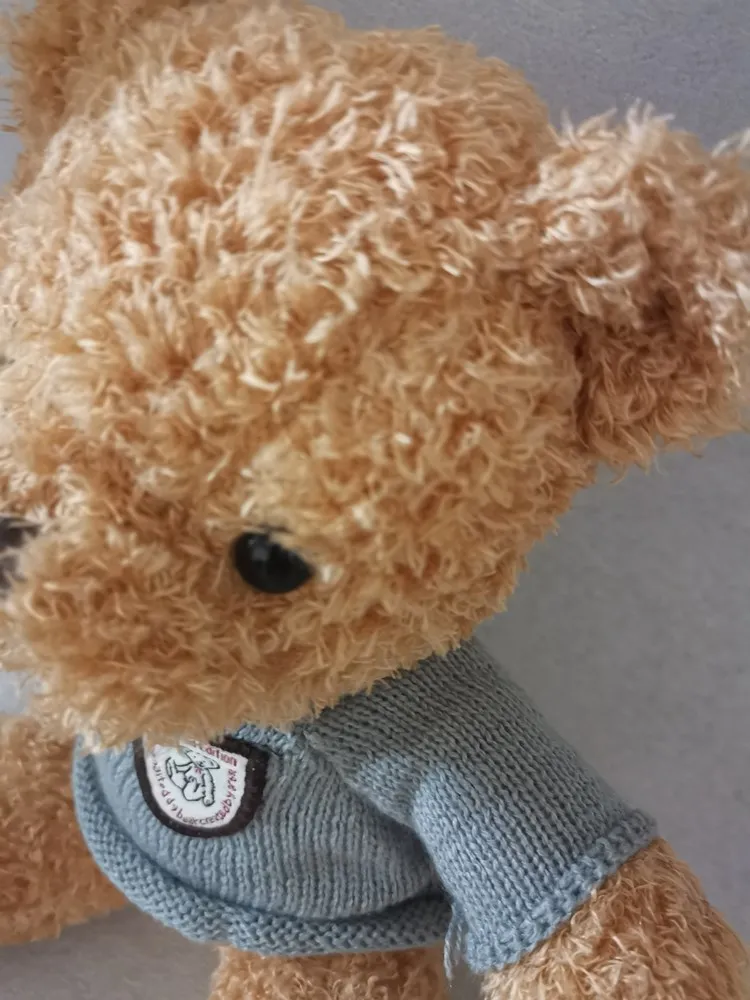 Low order Quantity brown and white kylin velvet teddy bear