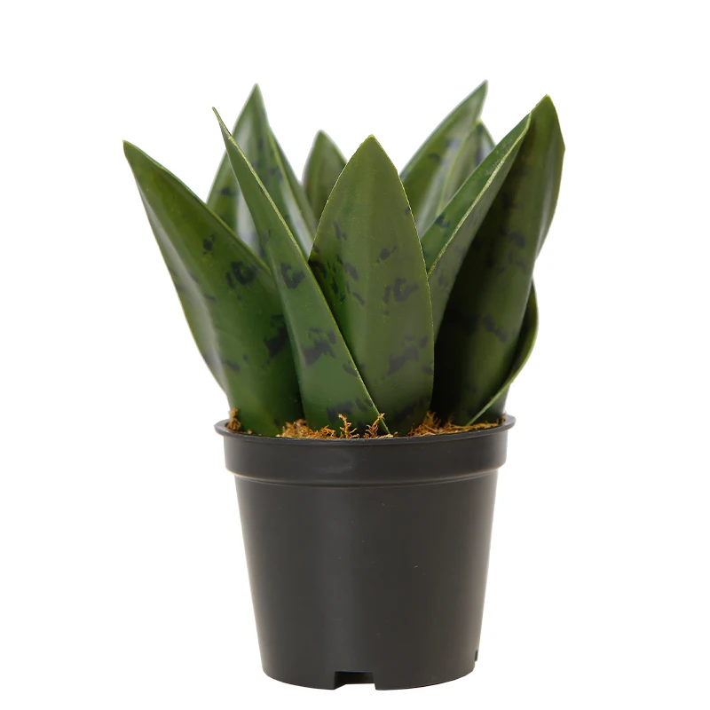 Темно-зеленые пластиковые искусственные змеи Sansevieria, недорогие декоративные растения для сада, 14 см