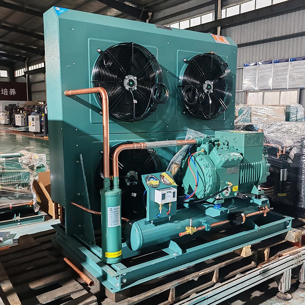 Customization high quality wall air colder refrigeration equipment cold room 2 hp refrigeration condensing unit